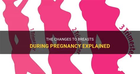 Understanding The Timing Of Breast Leaking During Pregnancy